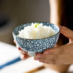 Moderne japanische Keramikschalen – elegantes klassisches Essgeschirr