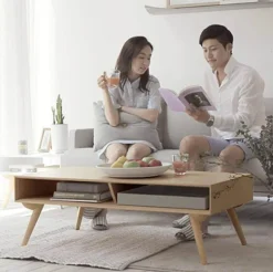 Moderner Couchtisch – Stilvolle Möbel im Century-Design