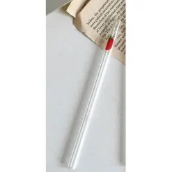 Nana Erdbeer-Glasbecher – süßer, hitzebeständiger, transparenter Wasserbecher