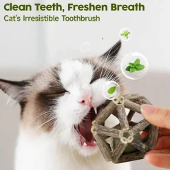 Natürlicher Katzenminzball – Lustiges, gesundes Katzenspielzeug