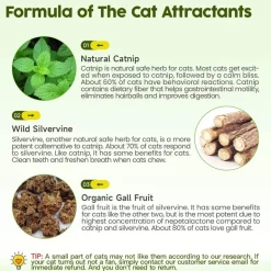 Natürlicher Katzenminzball – Lustiges, gesundes Katzenspielzeug