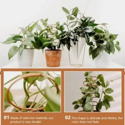 Nordic Climbing Pflanzenständer - Indoor Outdoor Unterstützung für Weinreben