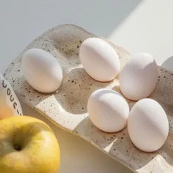 NORDIC RESIN EGG STORAGE TRAY - Stilvoller Eier-Organizer