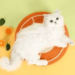 Orangefarbenes Katzenkratzbrett – spannendes Spielzeug für verspielte Katzen