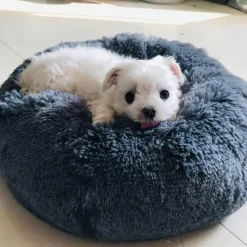 Pet Lounge Sitzsackbett – Weiches, bequemes Haustiermöbel