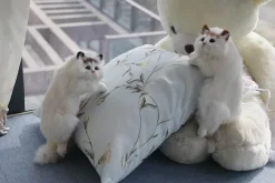 Plüschkatzenfigur - Niedliche Schreibtischdekoration