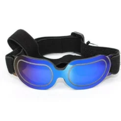 Reithelm für Haustiere – Stilvolle Sicherheitsausrüstung für Haustiere