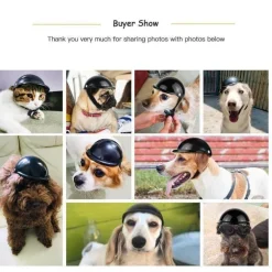 Reithelm für Haustiere – Stilvolle Sicherheitsausrüstung für Haustiere