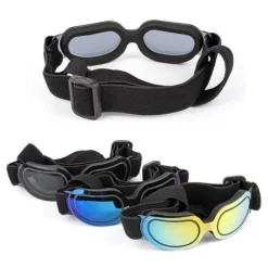 Reithelm für Haustiere – Stilvolle Sicherheitsausrüstung für Haustiere