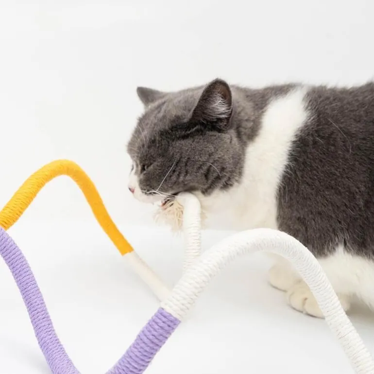 Robustes Kauseilspielzeug für Katzen – spannendes und lustiges Beißspielzeug für Katzen