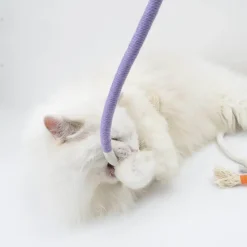 Robustes Kauseilspielzeug für Katzen – spannendes und lustiges Beißspielzeug für Katzen