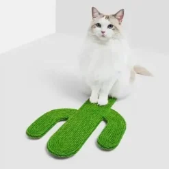 Robustes Kratzbrett in Mandarine für spielerische Entspannung und gesunde Krallen