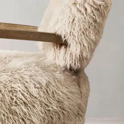 Rosalind Occasional Chair – Schicker Akzentstuhl für moderne Wohnzimmer