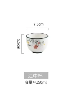 Schüssel- und Tellerset aus Bone China – Elegantes Essgeschirr für Reisnudeln