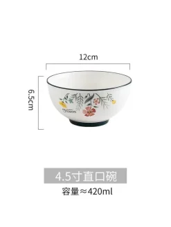 Schüssel- und Tellerset aus Bone China – Elegantes Essgeschirr für Reisnudeln