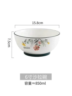 Schüssel- und Tellerset aus Bone China – Elegantes Essgeschirr für Reisnudeln