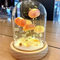 Seeigel-Nachtlicht – Einzigartige DIY-Heimdekoration