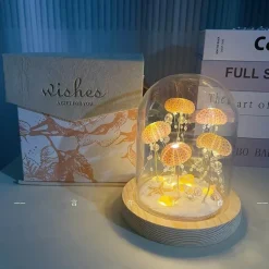 Seeigel-Nachtlicht – Einzigartige DIY-Heimdekoration