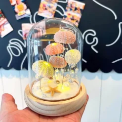 Seeigel-Nachtlicht – Einzigartige DIY-Heimdekoration