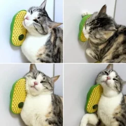 Selbstbedienungs-Tierfriseur - Einfaches Pflegewerkzeug für Hunde und Katzen