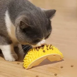 Selbstpflegewerkzeug für Katzen – Innovativer Durian Corner Groomer
