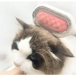 Selbstreinigende Fellpflegebürste für Haustiere – Fellpflegewerkzeug für Hunde und Katzen