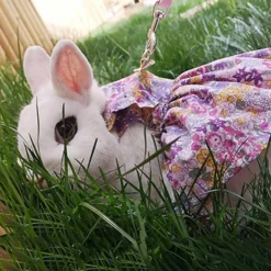 Süßes Kaninchen-Jeanskleid - Entzückendes Jeanskleid für Kinder