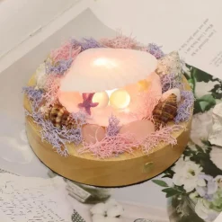 Shell LED-Nachtlampe - Dekoratives, sanftes Licht