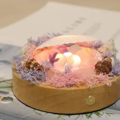 Shell LED-Nachtlampe - Dekoratives, sanftes Licht