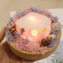 Shell LED-Nachtlampe - Dekoratives, sanftes Licht