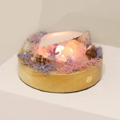 Shell LED-Nachtlampe - Dekoratives, sanftes Licht