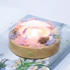 Shell LED-Nachtlampe - Dekoratives, sanftes Licht