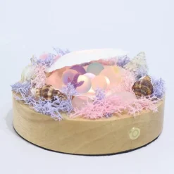 Shell LED-Nachtlampe - Dekoratives, sanftes Licht