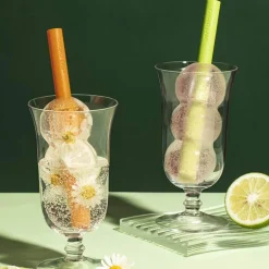 Silikon-Eisform für Stieleis – 2-in-1-Eismaschine mit Strohhalm