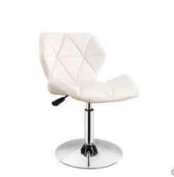 Simple Colorful Modern Office Home Bar Stools