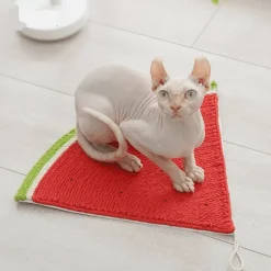 Sisal-Katzenkratzbaum – Robustes Krallenbrett für gesunde Katzenkrallen