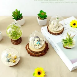 Sternennacht-Terrarium-Kerzenhalter – Dekorativer Wohnakzent