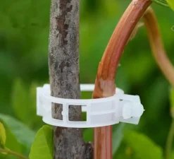 Stützklammern für Gartenpflanzen – Sichere grüne Pfähle für das Pflanzenwachstum