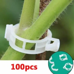 Stützklammern für Gartenpflanzen – Sichere grüne Pfähle für das Pflanzenwachstum