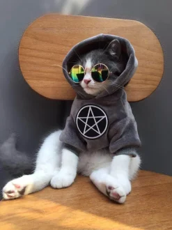 Stylischer Hunde-Hoodie - Gemütliches Haustier-Sweatshirt