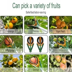 Teleskop-Obstpflücker – Einstellbares Werkzeug für große Reichweite