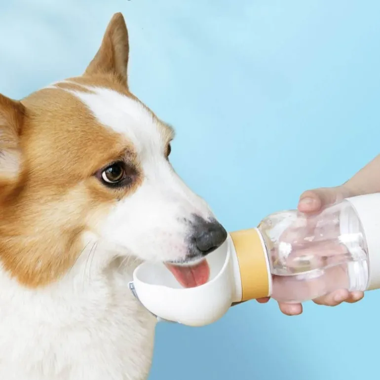 Tragbare Haustier-Wasserflasche - 2-in-1-Reise-Futterspender