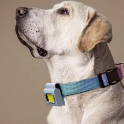 Tragbare Mini-Magnet-Gehlampe zum Anklipsen – kompaktes Taschenlicht