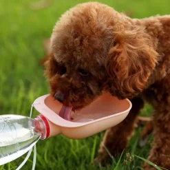 Tragbarer Wasserspender für Haustiere – Reiseflasche für Hunde und Katzen