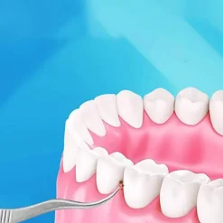 Tragbares Zahnstocher-Reinigungsset – Minty Travel Dental Tool