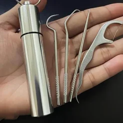Tragbares Zahnstocher-Reinigungsset – Minty Travel Dental Tool