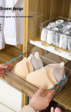 Transparent Clothes Organizer - Wardrobe Storage Solution