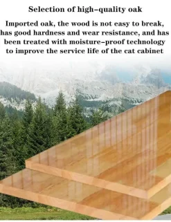 Transparent Wood Pet House - Dreamscape Panoramic Design