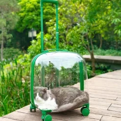 Transparenter Haustiertransportwagen - Tragbare Reisekapsel für Haustiere
