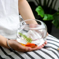 Transparentes Aquarium - Schneeberg-Aquariumdekor